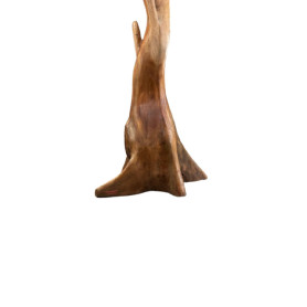 ROOTS-APPENDIABITI CON RADICE SINGOLA