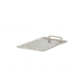 TRAY 30X18 CM NIBE NICKEL