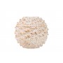 SFERA GARPE NATURAL SET 4 BALLS 10X10X10