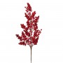 BACCHE ROSSE D58XH76CM