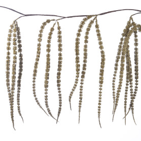 GOODWILL-GHIRLANDA PER L'ALBERO L150CM