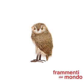 GOODWILL-CIVETTA 2 MODELLI H39CM