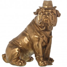 A BOXER DORATO 44X27X43